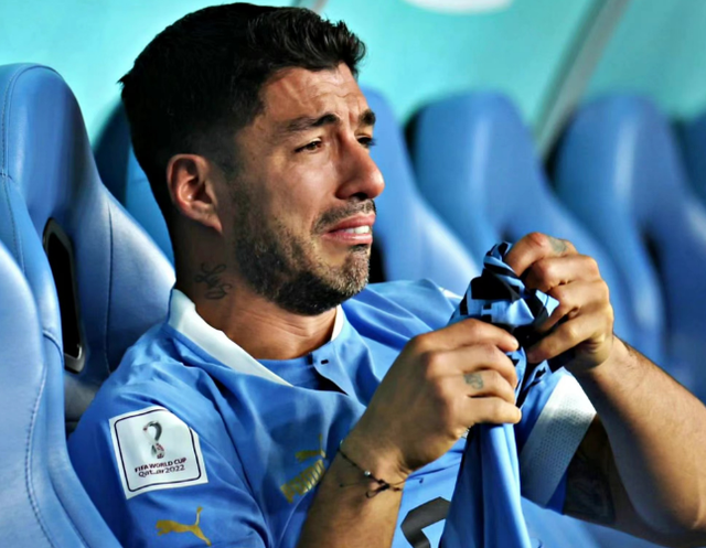 关键时刻布鲁克林篮网备战荷甲，遗憾出局细节曝光，气氛紧张，赛季目标并未改变的简单介绍